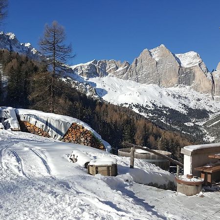 Hotel Rifugio Negritella Pozza di Fassa Exteriér fotografie