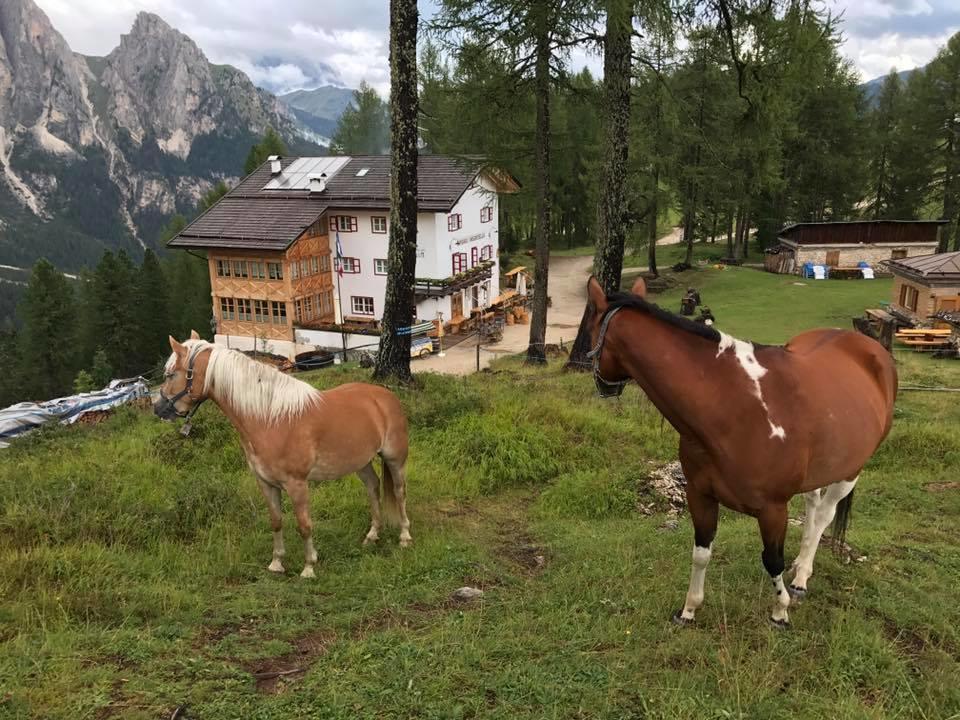 Hotel Rifugio Negritella Pozza di Fassa Exteriér fotografie